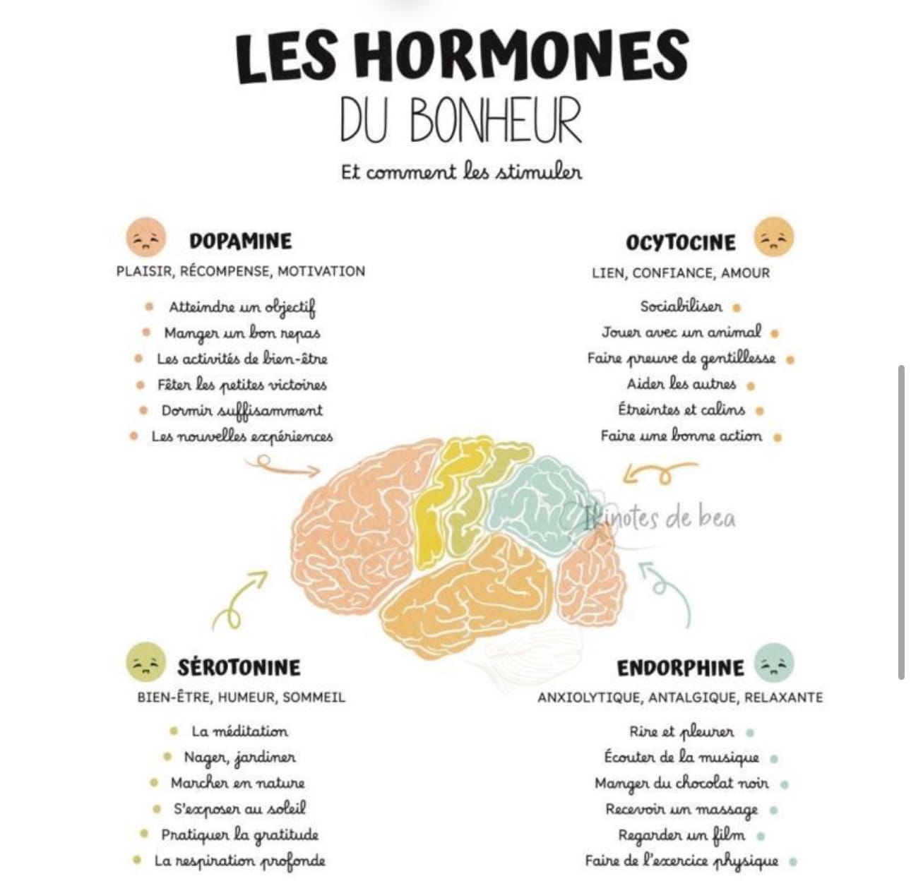 Lire la suite à propos de l’article Le bonheur : une compétence que l’on peut entraîner 🧠✨