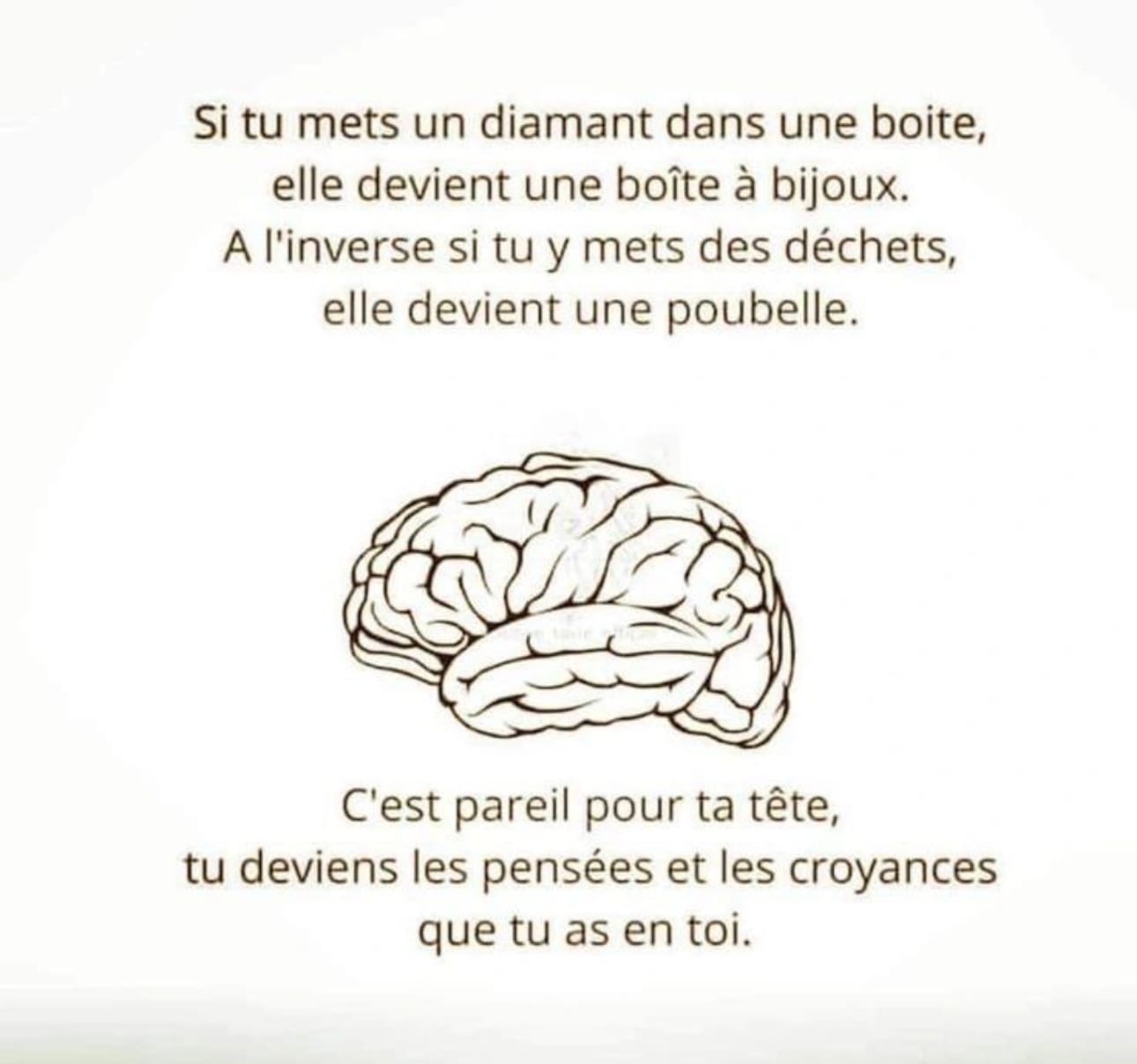 Lire la suite à propos de l’article Forgez votre esprit, façonnez votre vie 💡